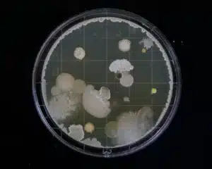 bilder till hemsidan 6